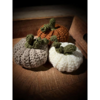 pompoen handgemaakt medium